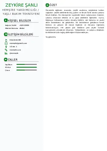 Hasta ve Yaşlı Bakım Elemanı Cv Örnekleri cv indir